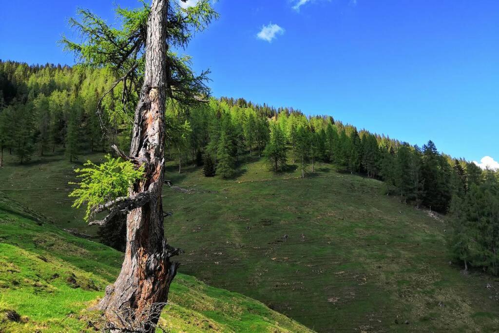 Appartment Dutzler Sankt Martin am Tennengebirge Zewnętrze zdjęcie